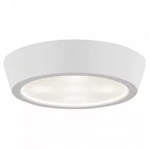 Накладной светильник Lightstar Urbano 214904