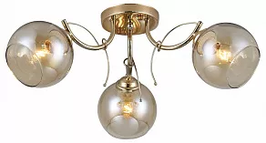 Потолочная люстра Rivoli Elli Б0050830