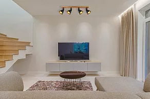 Спот Globo Günther 15466S-4
