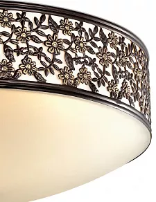 Накладной светильник Odeon Light Sagitta 2669/4C