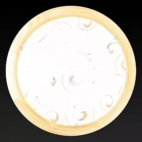 Накладной светильник TopLight Kelly TL9043Y-02PN
