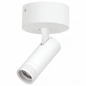 Спот Lightstar Canno Pro C4126SO