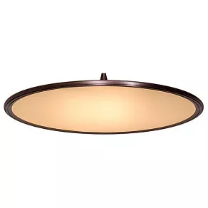 Подвесной светильник L'Arte Luce  L21861.88