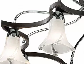 Потолочная люстра Odeon Light Iwo 2237/8С