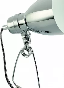 Настольная лампа декоративная Arte Lamp Dorm A1409LT-1CC