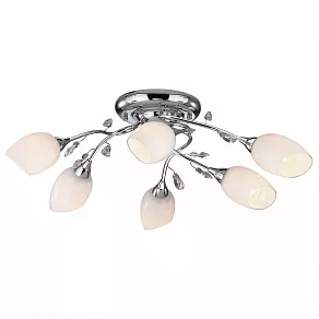 Потолочная люстра Odeon Light Fiera 1603/6