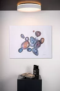 Накладной светильник Lucide Nuria 79182/24/31