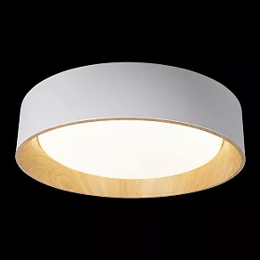 Накладной светильник Loft it Coin 10202 White