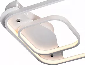Накладной светильник ST-Luce Lasensa SL857.502.02