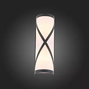 Накладной светильник ST-Luce Agio SL076.411.01