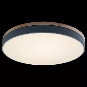 Накладной светильник Loft it Axel 10001/36 Grey