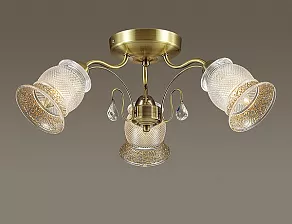 Потолочная люстра Lumion Rakella 3415/3C