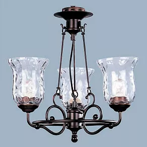 Подвесная люстра L'Arte Luce Gela L17703.19