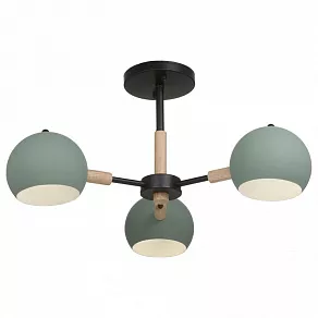 Люстра на штанге Freya Trisha FR5032CL-03B