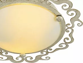 Накладной светильник Arte Lamp Riccioli A1060PL-2WG