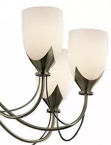 Подвесная люстра Odeon Light Risto 2079/8