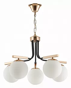Подвесная люстра EVOLUCE Sonco SLE106803-05