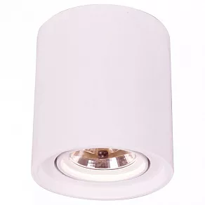 Накладной светильник Arte Lamp Tubo A9262PL-1WH