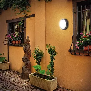 Накладной светильник Novotech Opal 357184