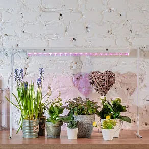 Светильник для растений Uniel P16 UL-00003957