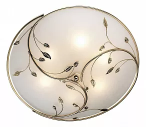 Накладной светильник Odeon Light Regana 2728/6C