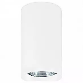 Накладной светильник Ambrella TN TN213133