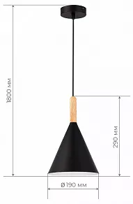 Подвесной светильник EVOLUCE Arket SLE1255-403-01