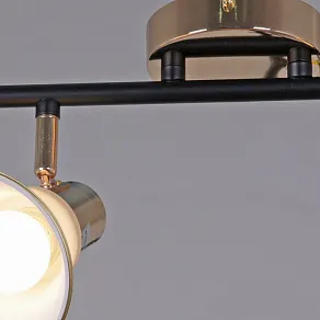 Люстра на штанге Reluce  05901-0.8-04 BK+FGD
