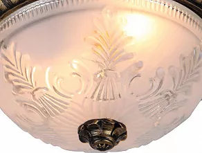 Накладной светильник Arte Lamp Piatti A8005PL-2BN