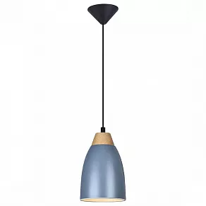 Подвесной светильник TopLight Leah TL0724H-2N