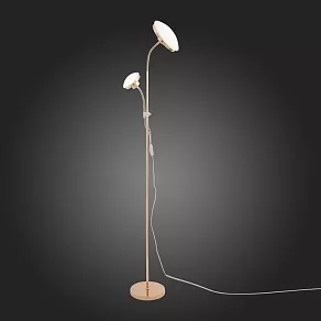 Торшер с подсветкой ST-Luce Pratico SLE120.205.02