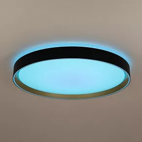 Накладной светильник Citilux BOSS CL751451G