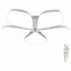 Накладной светильник Lumion Gabriella 3645/60CL