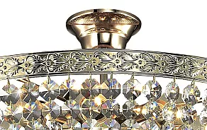 Люстра на штанге Odeon Light Teresia 2808/8C