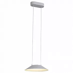 Подвесной светильник ST-Luce Pitto SL427.503.01