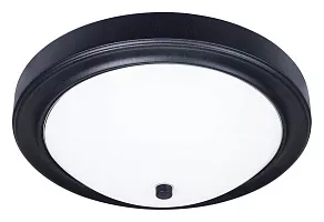 Накладной светильник Arte Lamp James A4049PL-3BK
