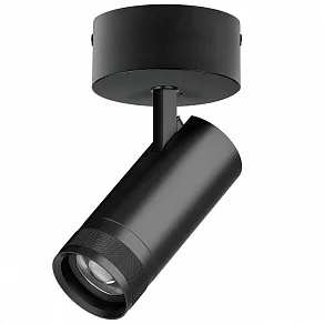 Спот Lightstar Canno Pro C4207SO