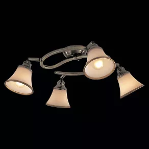 Спот Citilux Прованс CL511143