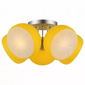 Потолочная люстра ST-Luce Arancio SL482.902.05