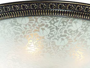 Накладной светильник ST-Luce Fascino SL135.402.04