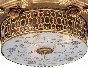 Накладной светильник Odeon Light Capua 2642/3C