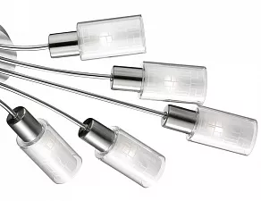 Потолочная люстра Odeon Light Hales 2613/10C