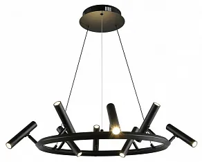 Подвесная люстра Aployt Honor APL.067.03.40