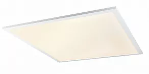 Накладной светильник Globo Rosi 41604D6F