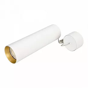 Подвесной светильник Arlight Sp-Polo-Hang SP-POLO-HANG-LONG300-R85 (WH, 1-3, 350mA)