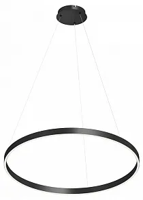 Подвесной светильник Denkirs RAYDIA DK6273-BK