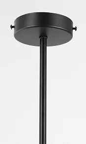 Люстра на штанге Lampit LEDO TP 2011-3 BK