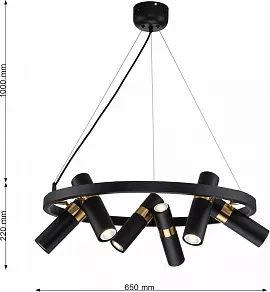 Подвесная люстра Favourite Light point 2997-6P