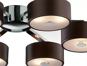 Потолочная люстра Odeon Light Salar 2047/12C