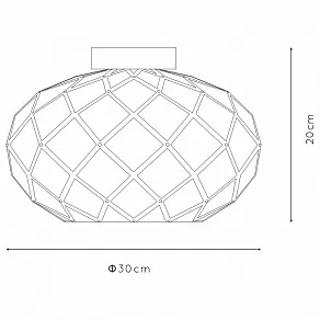 Накладной светильник Lucide Wolfram 21117/30/02
